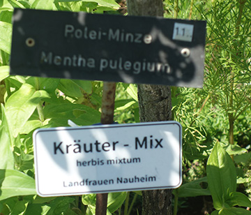 Kräutergarten
